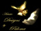 Paloma Designs Paloma Designs