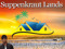 04. Parcel Rentals and Sales 04. Parcel Rentals and Sales
