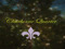 ~Clairborne Quarter~ ~Clairborne Quarter~