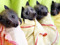 The Bat Brigade