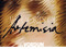  Allegories of Artemisia @The Vordun Museum and Gallery