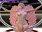ILLUSIONS GOLD MUSIC & DANCE (Now Hiring) ILLUSIONS GOLD MUSIC & DANCE (Now Hiring)