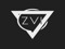 Zvi VIP