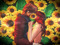 ❥ Imzadi Seph