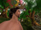Elven Forest http://www.elvenforest.info Elven Forest http://www.elvenforest.info