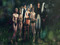 ♥ Some People Call it Carzy, we Call it Family! ♥ Some People Call it Carzy, we Call it Family!