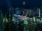 Dany's Cove Dany's Cove