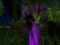 ***CHAKRYN FOREST***