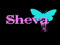 ***Sheva***Templates and resources for designers
