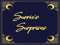 ~Surrie's Surprises~