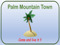Palm Mountain Town