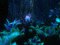 CLUB_PANDORA