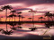 Sapphire Beach Club Sapphire Beach Club