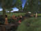 The Var Dar-Kosis Tribe