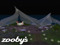 Zooby's
