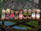 ♥♥♥♥Our babies...9 of them!!!!