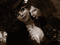 SteamHearts