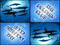 The Dolphin Club The Dolphin Club
