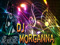 DJ Lady's Fanatics