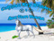 Calypso Key Stables & Auction House