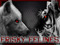Frisky-Felines