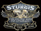 **STURGIS BIKER SIM** 