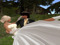 Simon & Ginevra Powell Simon & Ginevra Powell