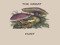 The Great Hunt!