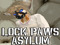 LockPaws Asylum