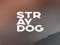 STRAY DOG MAINSTORE