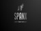 SpanX Playground