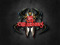 TS-Creations TS-Creations