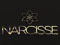 - Narcisse - - Narcisse -