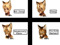 3. NO FURRIES!!