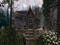 ~ Out of the Rain Cafe (in the woods)