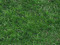 Real Estate Land Sales/Rentals
