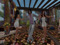 4 Spring Fest at Silversword 4 Spring Fest at Silversword