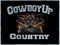 CowboyUp Country VIP