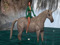 6 -  Lost Unicorn, A Unicorn Forest Sanctuary  