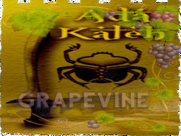 parcel image