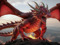 Secret Dragon Society