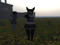 Bull Terrier Bull Terrier