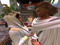  ♥ Married to my Love 