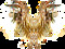  ::::ANGELSSS::::