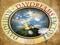 Dandelion Daydreams Factory Dandelion Daydreams Factory