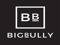B I G B U L L Y
