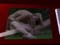Erotica Sex Theather - Adult Porn