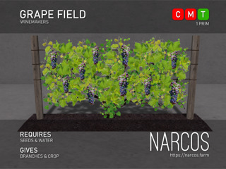 [Narcos] Grape Field