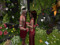 5. Dionysus & Ariadne