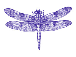 parcel image